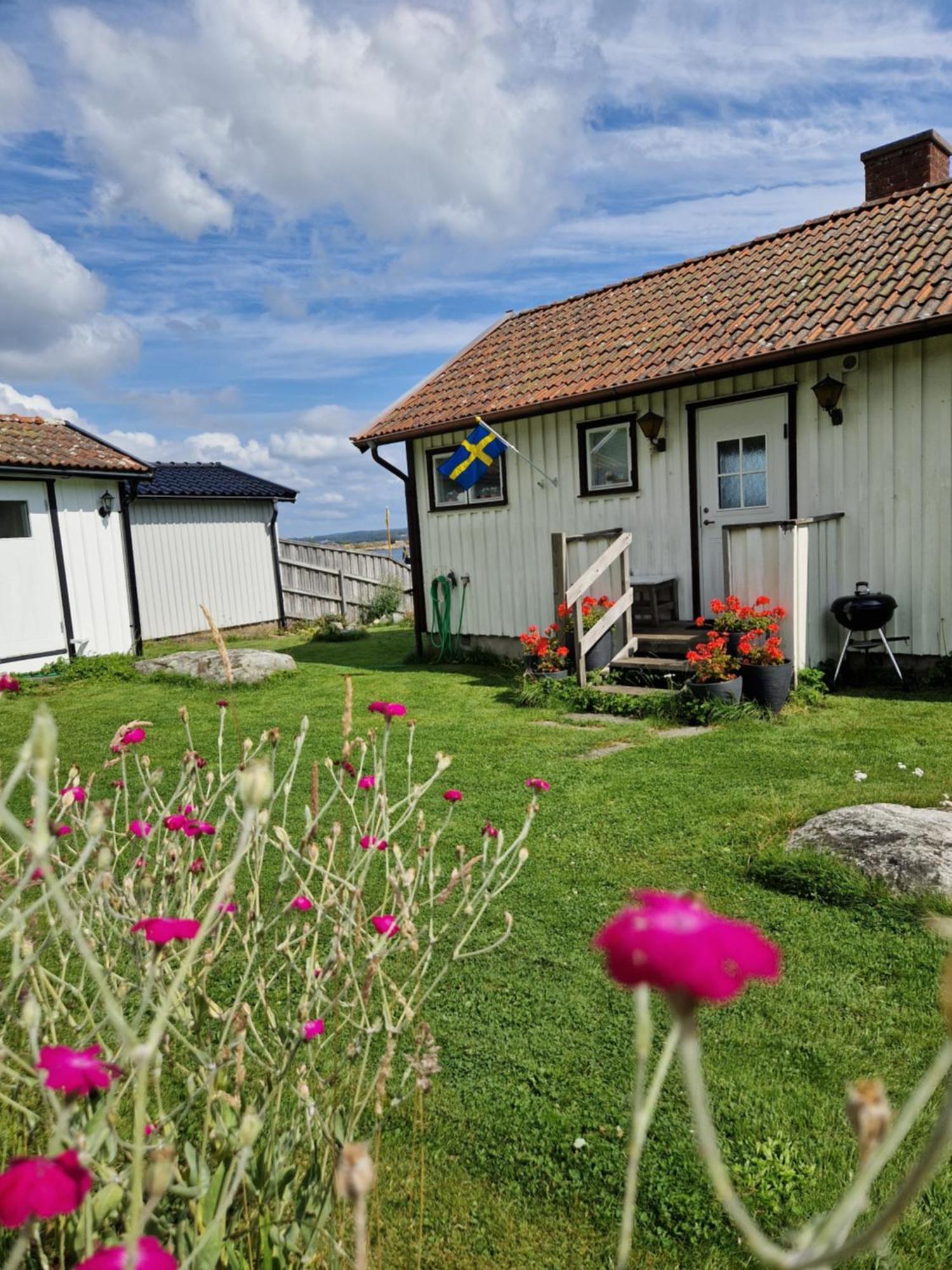 Cabin At The Sea Close To Public Beach With A Jumpingtower Hoviksnas Luaran gambar
